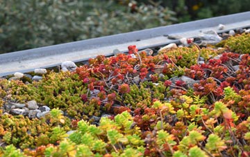 the cost of Tarlscough green roof installation