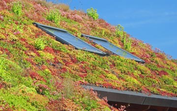 Tarlscough living roof systems