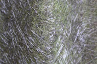 Tarlscough fibreglass roof work